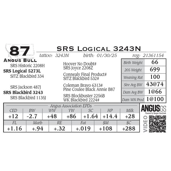 SRS Logical 3243N