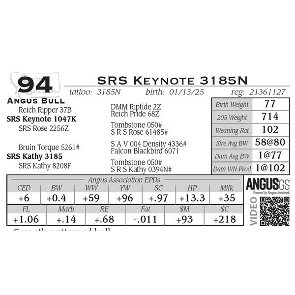 SRS Keynote 3185N