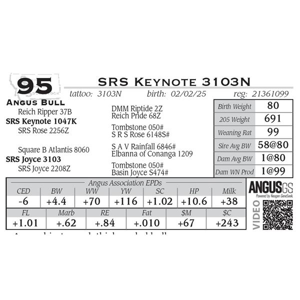 SRS Keynote 3103N