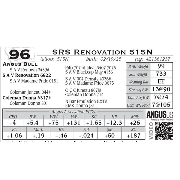 SRS Renovation 515N