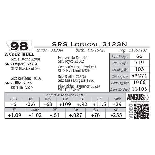 SRS Logical 3123N