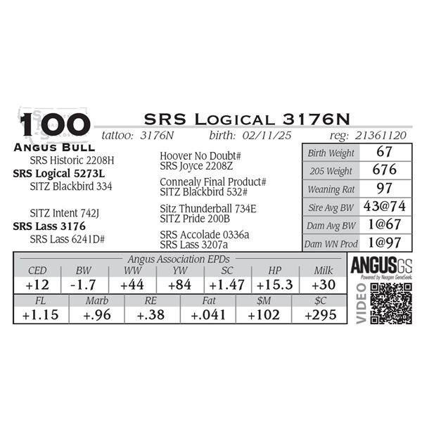 SRS Logical 3176N