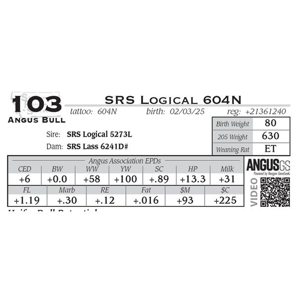 SRS Logical 604N