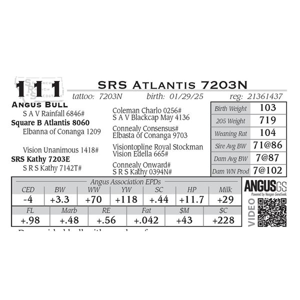 SRS Atlantis 7203N