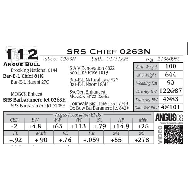 SRS Chief 0263N