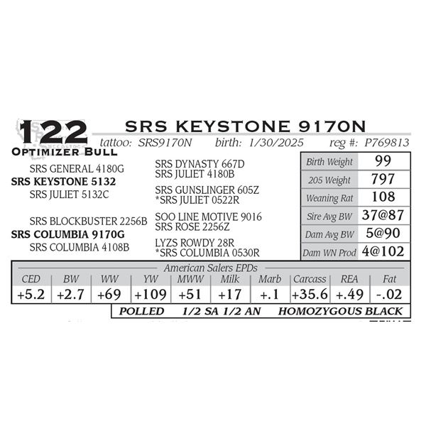 SRS KEYSTONE 9170N