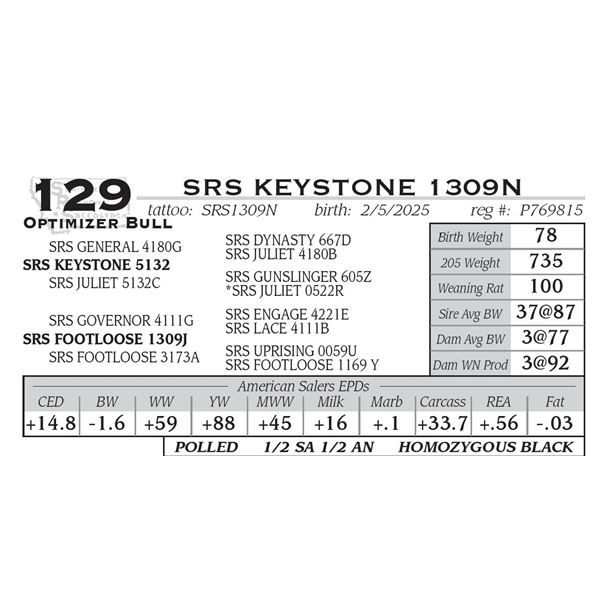 SRS KEYSTONE 1309N