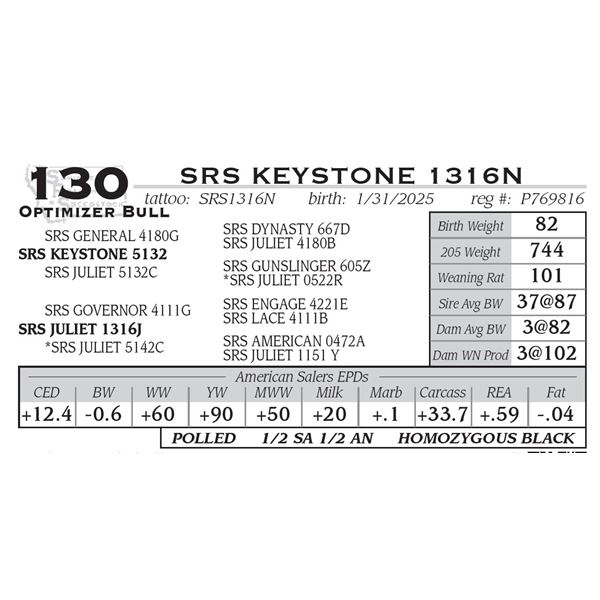 SRS KEYSTONE 1316N