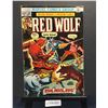 Image 1 : Red Wolf #6 (1973)