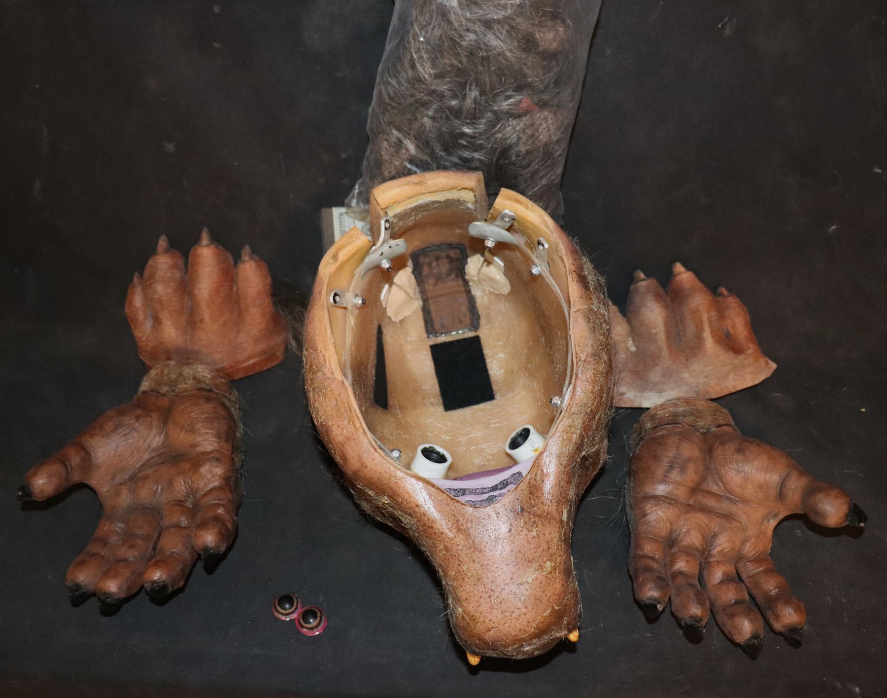 HALLOWEEN HORROR NIGHTS WEREWOLF VINTAGE PUPPET HEAD AND CLAWS ...