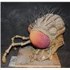 Image 5 : GOOSEBUMPS GHOSTS OF FEAR STREET HERO ANIMATRONIC PUPPET ANT INSECT HEADS LOT OF 2