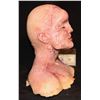 Image 2 : MISS 2059 BURNED SILICONE FULL HEAD PUPPET
