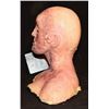 Image 3 : MISS 2059 BURNED SILICONE FULL HEAD PUPPET