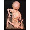 Image 5 : NIGHTMARE ON ELM STREET 5 A THE DREAM CHILD FREDDY BABY SILICONE DISPLAY