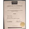 Image 3 : ZZ HULK 2003 BRUCE BANNER ERIC BANA BOOKS W/ PROVENANCE D