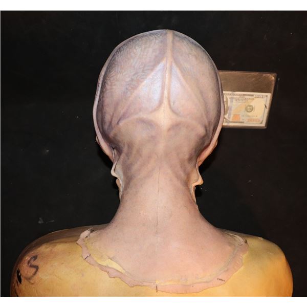 REBEL MOON ALIEN CREATURE DEMON SILICONE COWL MASK APPLIANCE ON BUST