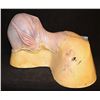 Image 3 : REBEL MOON ALIEN CREATURE DEMON SILICONE COWL MASK APPLIANCE ON BUST