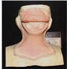 Image 1 : REBEL MOON SILICONE BRAIN SURGERY APPLIANCE COWL MASK ON FORM