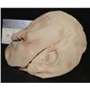 Image 2 : UNKNOWN 1994 STUNT MASK TO REVEAL OTHER FACE UNDERNEATH