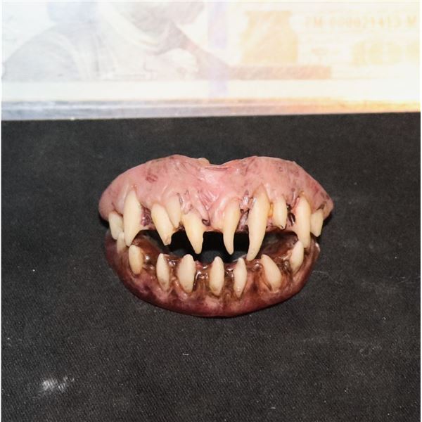 NOS4A2 VAMPIRE CHILD SCREEN USED HERO TEETH A