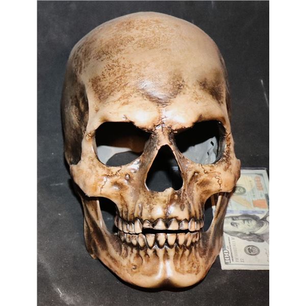 EVIL PAINTED RESIN SKULL FROM UNKNOWN PRODUCTION