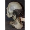 Image 2 : GHOUL GREEN VINTAGE LATEX PUPPET