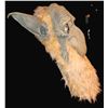Image 2 : WIZARD FRIGHT STUFF 1995 SPENCER GIFTS LARGE VINTAGE LATEX MASK WITH TAG