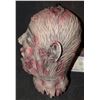Image 2 : VINTAGE SEVERED HEAD 2005 LATEX HALLOWEEN PROP WITH TAG