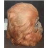 Image 2 : PLANET OF THE APES VINTAGE DON POSTORANGUTAN MASK