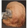 Image 3 : PLANET OF THE APES VINTAGE DON POSTORANGUTAN MASK