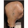 Image 3 : CLOSE ENCOUNTERS OF THE THIRD KIND MAIN ALIEN HEAD