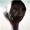 Image 6 : CLOSE ENCOUNTERS OF THE THIRD KIND MAIN ALIEN HEAD