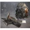 Image 2 : THE FLY VINTAGE LATEX MASK ROUGH SHAPE WITH THE ONE CLAW HAND PRICED TO SELL