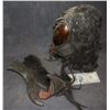 Image 3 : THE FLY VINTAGE LATEX MASK ROUGH SHAPE WITH THE ONE CLAW HAND PRICED TO SELL