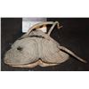 Image 2 : UNKNOWN VINTAGE ALIEN CREATURE CABLE PUPPET