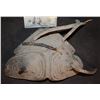 Image 4 : UNKNOWN VINTAGE ALIEN CREATURE CABLE PUPPET