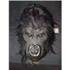 Image 1 : KING KONG GORILLA VINTAGE LATEX AND FUR MASK MOVIE PROP?