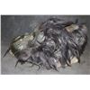 Image 2 : KING KONG GORILLA VINTAGE LATEX AND FUR MASK MOVIE PROP?