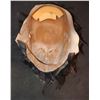 Image 3 : KING KONG GORILLA VINTAGE LATEX AND FUR MASK MOVIE PROP?