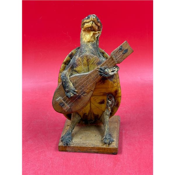 Taxidermy Guitar Strumming Turtle