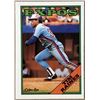 Image 1 : 1988 O-PEE-CHEE TIM RAINES (HOF)