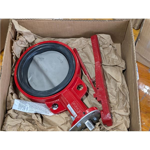 VALVE PAPILLON 6"BRAY