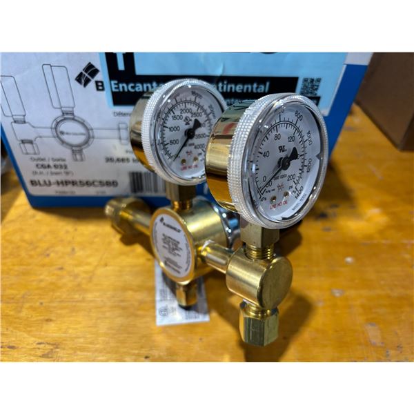 RÉGULATEUR BLUESHEILD BLU-HPR56C580