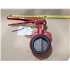 Image 1 : VALVE PAPILION 4"  S30 BRAY