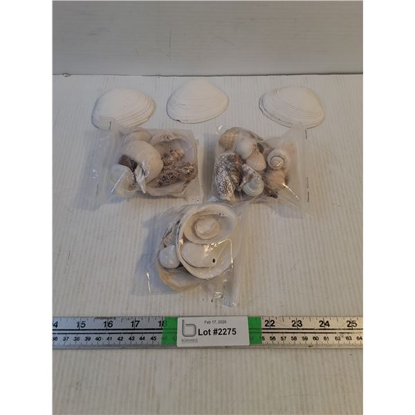 Assorted Sea Shells