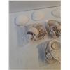 Image 3 : Assorted Sea Shells