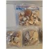 Image 2 : Assorted Sea Shells