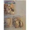 Image 3 : Assorted Sea Shells
