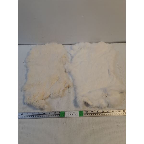 (2) Rabbit Pelts