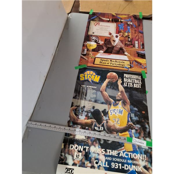 1991 Storm Basketball Schedule Poster, Spud Mackenzie Poster- Up to 25"x17"